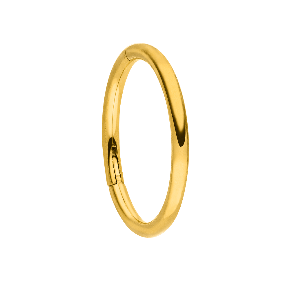 Segmentring wasserfest Nasenpiercing 7mm Titan Piercing