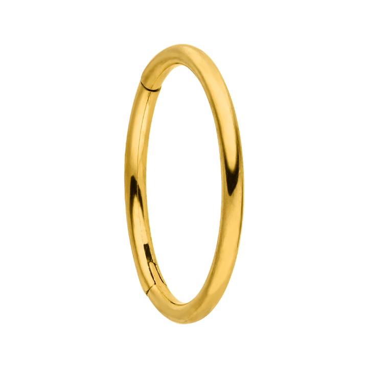 wasserfester Segmentring Nasenpiercing 8mm Titan Piercing