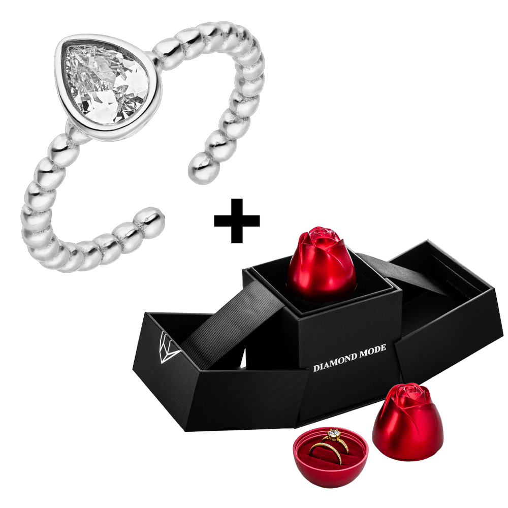 schwarze Rosenbox Roter Rosenkopf silberner Ring Chirurgenstahl 