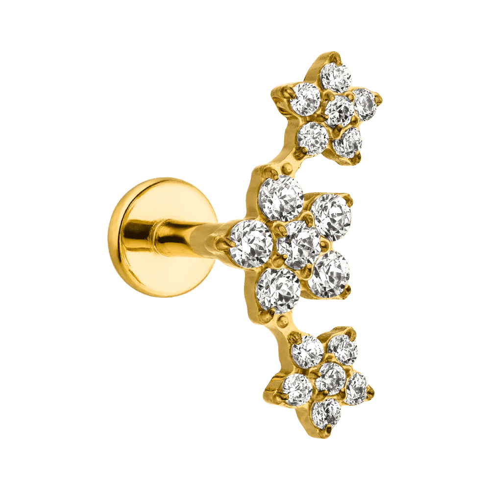 Titan Piercing vergoldet Helix Blume