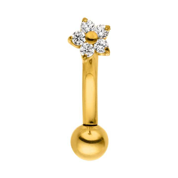 Blooming Rook Piercing | Titan