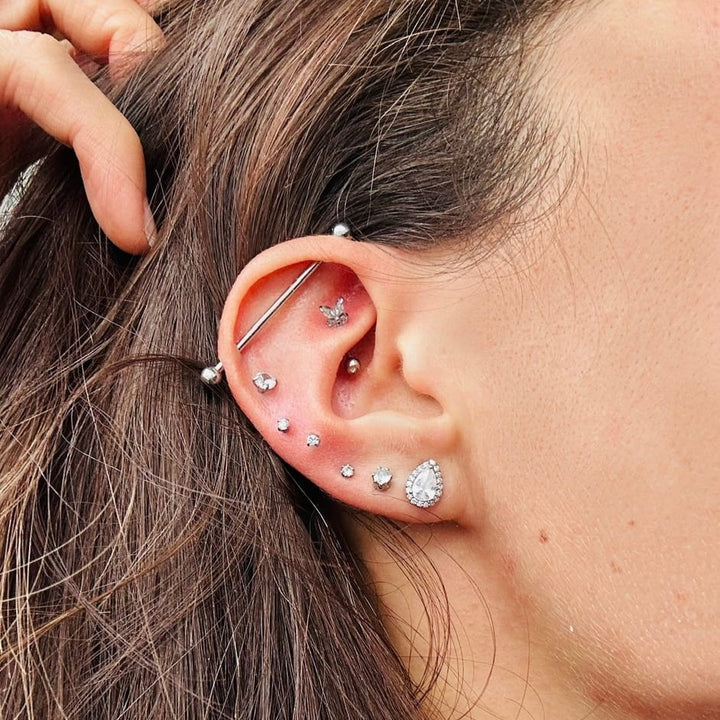 Butterfly Rook Piercing | Chirurgenstahl