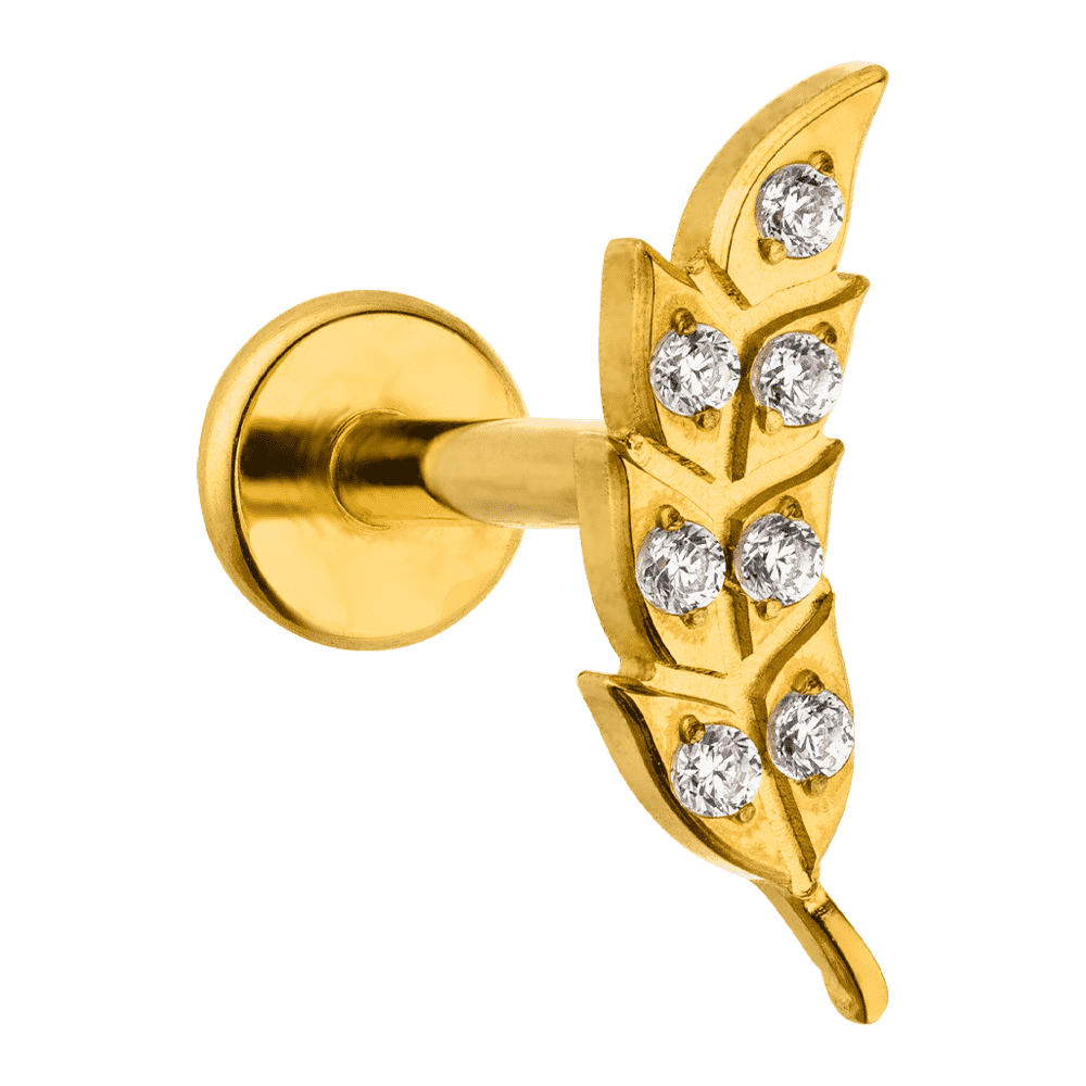 Feder Labret Ohrpiercing vergoldet Titan