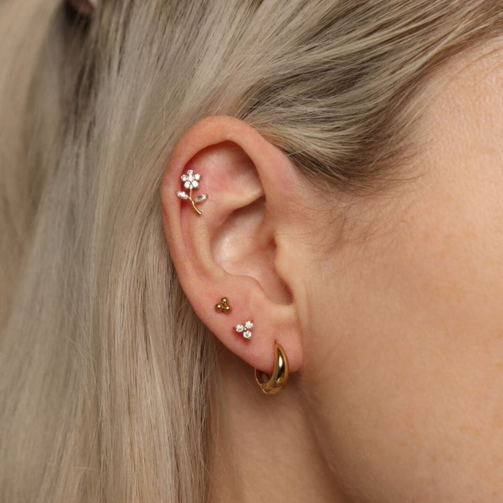 Gloriosa Piercing | Titan