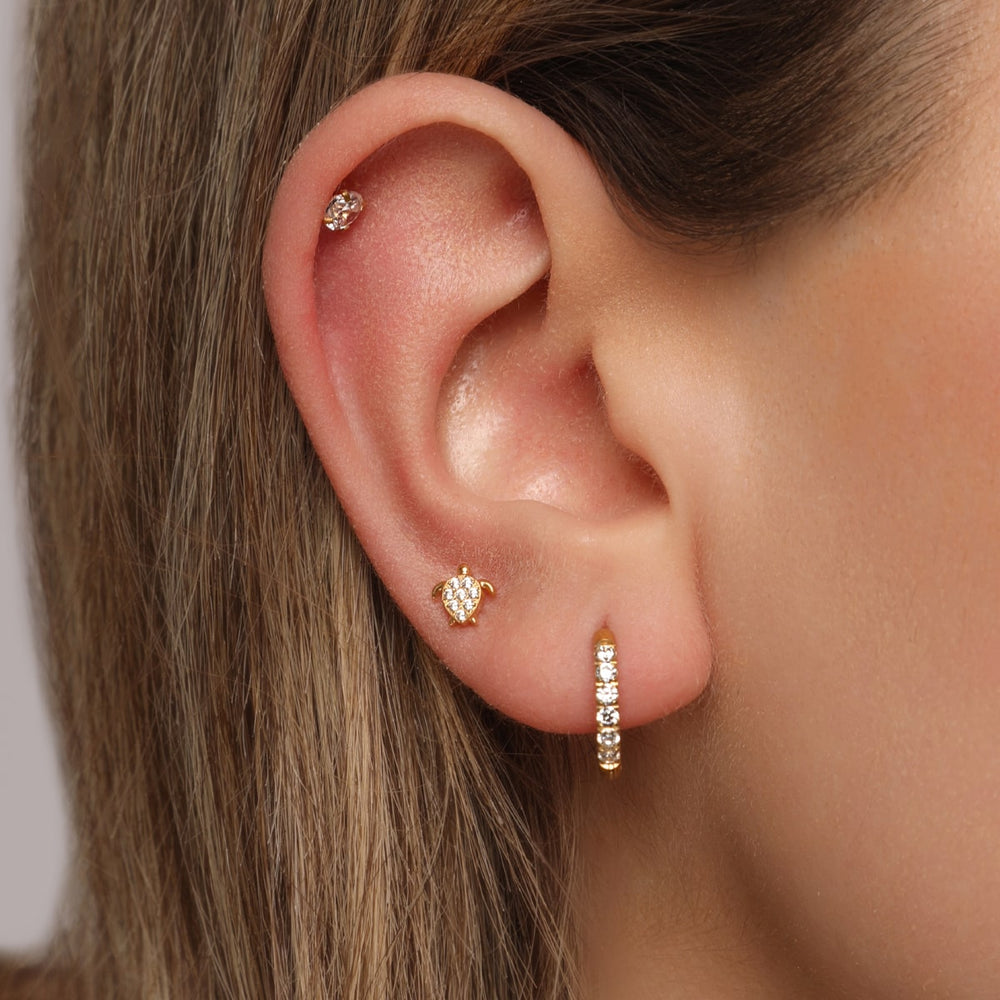 Schildkröten Piercing Labret Titan vergoldet