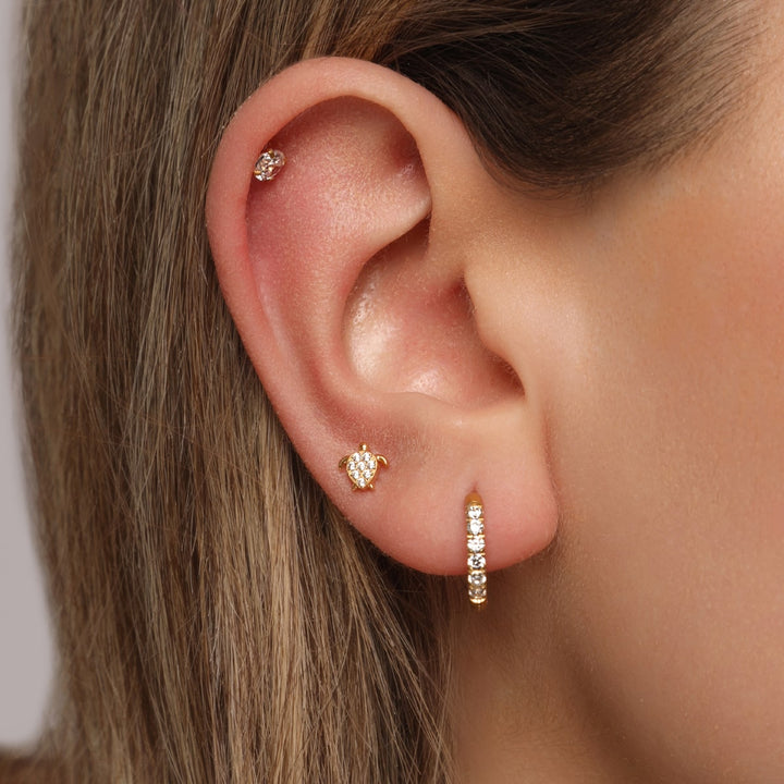 Schildkröten Piercing Labret Titan vergoldet