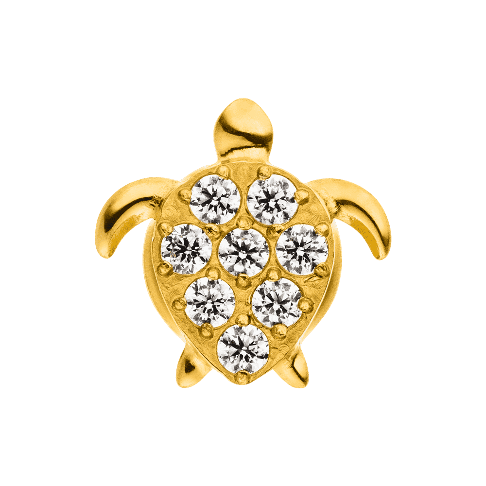 Schildkröte Ohrstecker vergoltet 18K titan nickelfrei