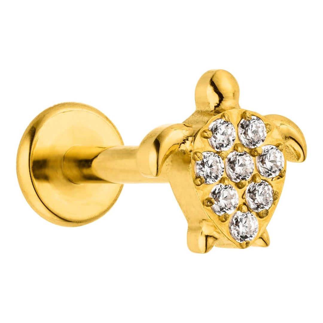 Schildkröten Piercing Helix Tragus Lobe Labret