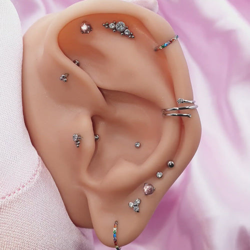 Titan Piercings Ohrpiercings Lobe Conch Helix Tragus